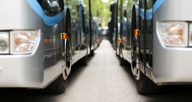 Buses parked side by side.